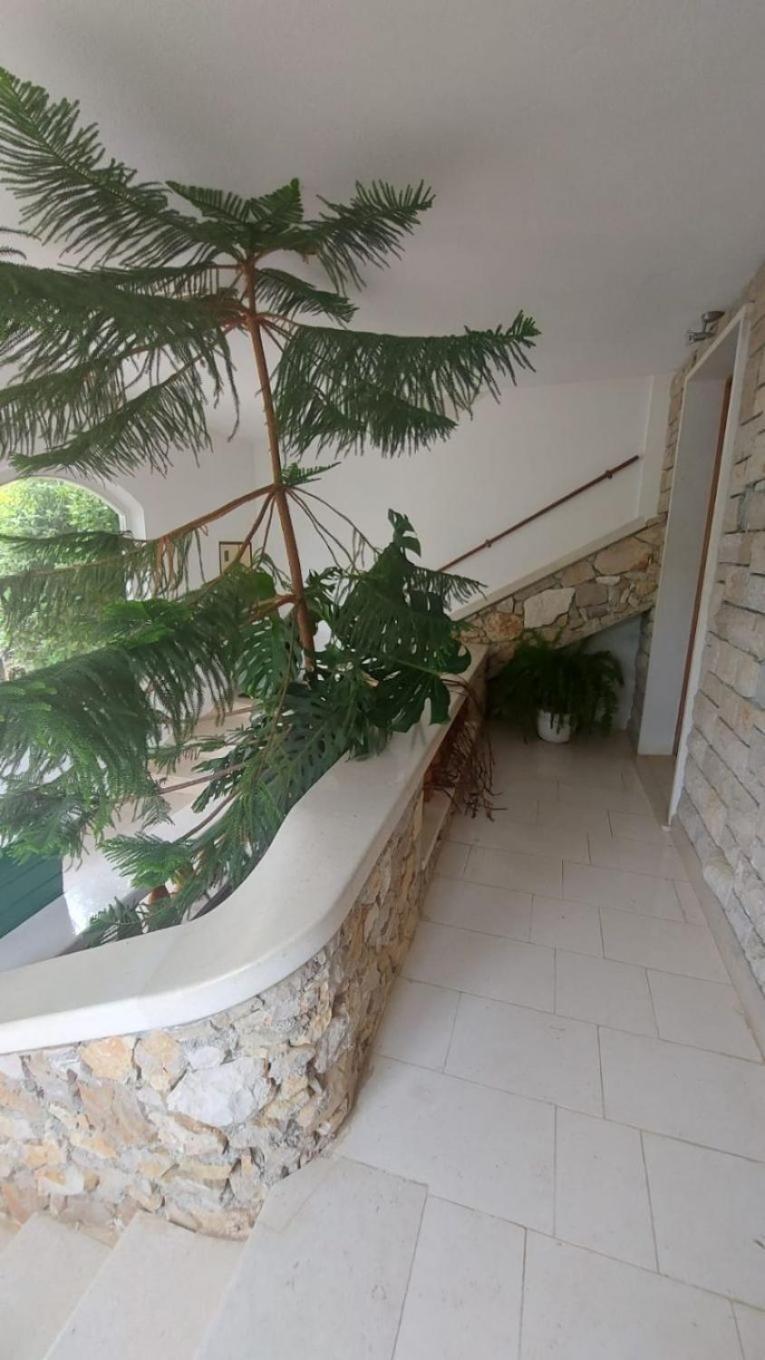 Apartment Brane Bol Dış mekan fotoğraf